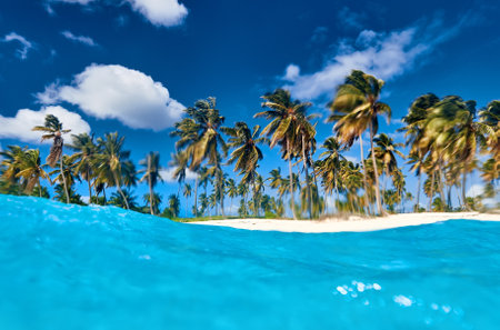 Tropical island. View of the beach from the water.の写真素材