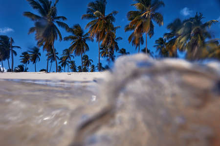 Tropical island. View of the beach from the water.の写真素材