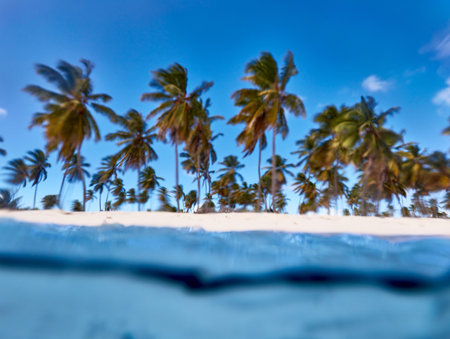Tropical island. View of the beach from the water.の写真素材
