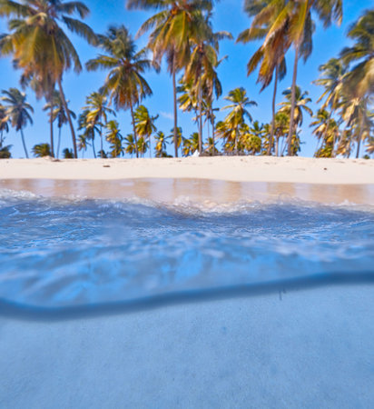 Tropical island. View of the beach from the water.の写真素材