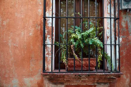 Flower behind bars. Colonial Architecture Detail. Typical colonial style in Santo Domingo, Dominican Republicの写真素材