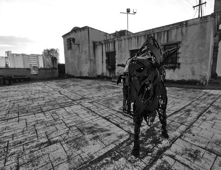 Sculpture Of A Bull. Modern art. Santo Domingo, Dominican Republic. 12/27/2016.のeditorial素材