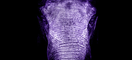 Elephant Ultra Violet. abstract elephant
