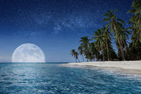 Paradise beach at night. Tropical paradise, white sand, beach, palm trees and clear water.の写真素材