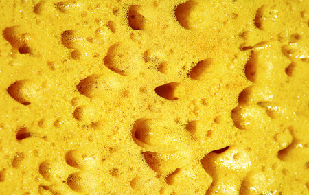 Sponge, porous material Texture background