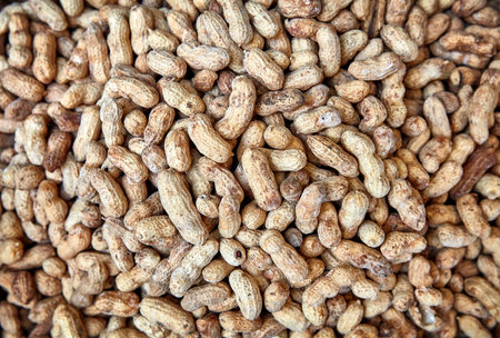 Peanuts. texture background. Raw peanuts in market.の写真素材