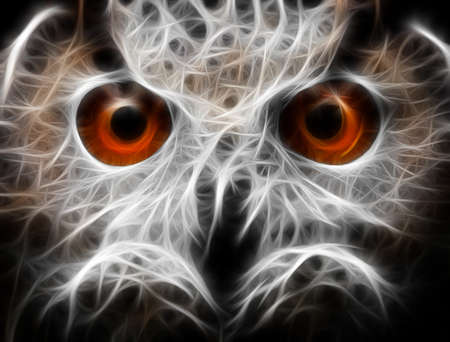 Owls Portrait. owl eyes - abstract painting, fractal.の写真素材