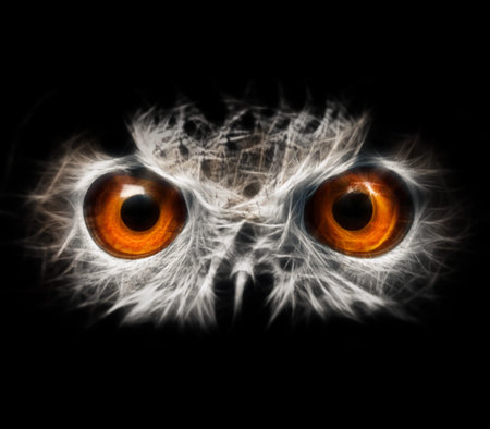 Owls Portrait. owl eyes - abstract painting, fractal.の写真素材