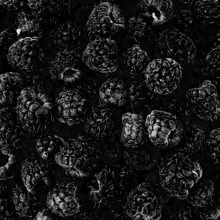 Black Raspberry fruit background. Berry background for a good mood