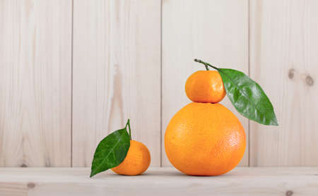 Tangerines and grapefruitの写真素材