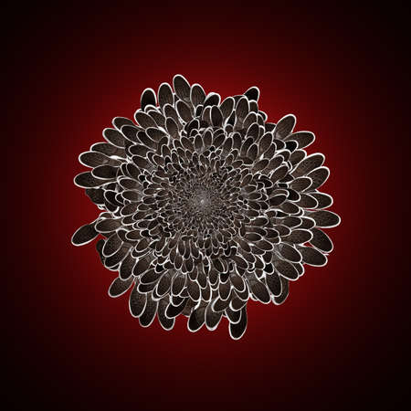 Sneakers, a lot of shoes, soles, abstraction of shoesの写真素材