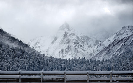 Beautiful winter landscape with snow covered trees, Winter mountains