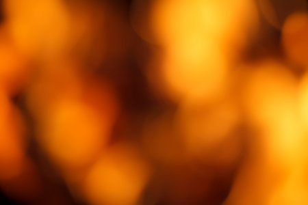bokeh from the fireの写真素材