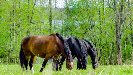 ??? ???? ? ???? ???? ?????の写真素材