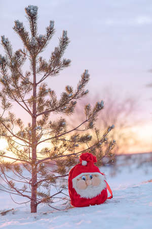 Santa Claus Bag, Celebration, Magic, desires, New Year's, Christmas, tree, winterの写真素材
