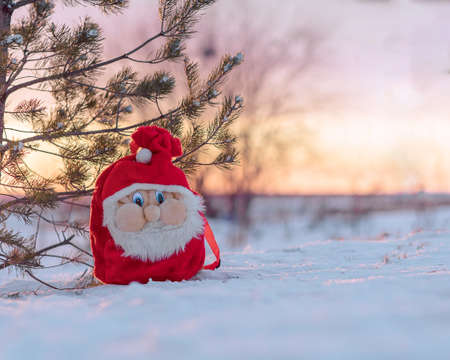 Santa Claus Bag, Celebration, New Year's, Christmas, tree, winter, forestの写真素材