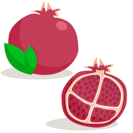 A vector illustration of a full pomegranate and half of the pomegranate with seeds in flat cartoon style, red food illustrationのイラスト素材