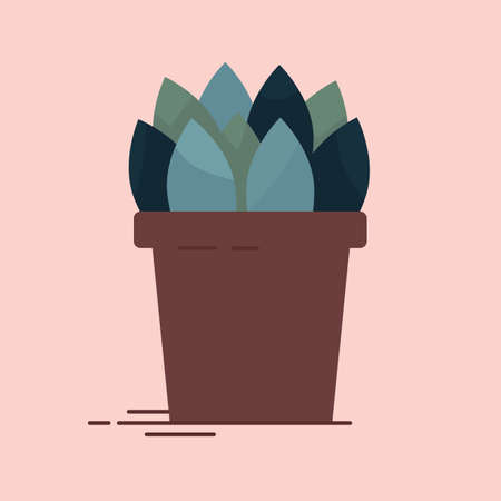 Vector collection of an indoor flower in pot. Home decorative plant, isolated element.のイラスト素材