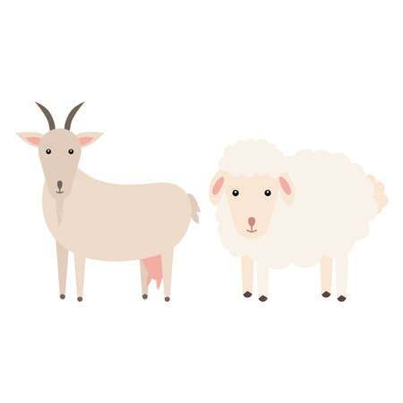 Comparing a goat with a sheep vector flat illustration isolated on white background. Domestic animals. Farm animals, goat and sheep cartoon characters. Print for nursery.のイラスト素材
