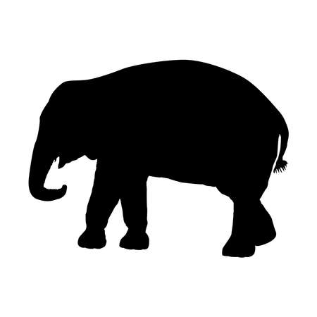 Silhouette of an elephant on a white background. Vector illustrationのイラスト素材