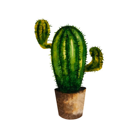 Watercolor illustration of a cactus in a brown pot. Homemade green flower with needles. The illustration is drawn by hand. Can be used for your design cards, stickers, scrapbooking, posters, printsの写真素材
