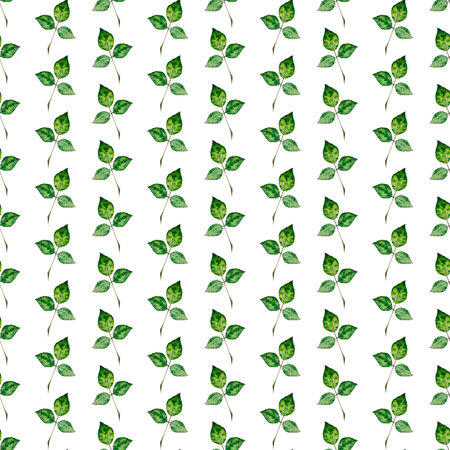 Rose leaf. Watercolor seamless pattern. Can be used for textile design, paper products.の写真素材