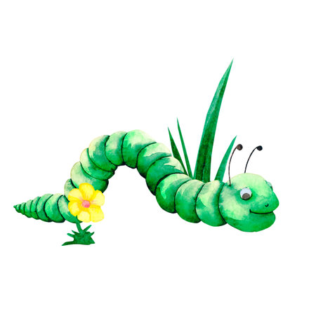 Watercolor composition of caterpillar character and grass with flower. Botanical drawing on isolated background. For your designの写真素材