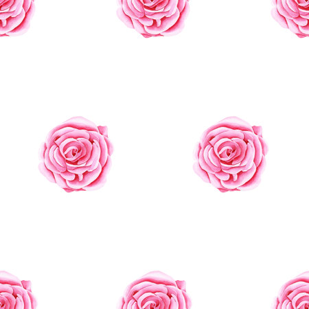 Watercolor seamless pattern of botanical flowers. Garden pink rose. Realistic illustration. Hand drawn in botanical style. Image for your design.の写真素材