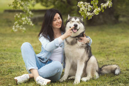 Beautiful brunette girl sitting on the grass with her funny friend malamute dogの写真素材
