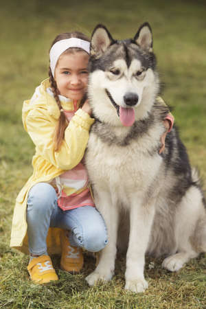 Cute girl sitting on the grass and playing with her funny friend malamute dogの写真素材