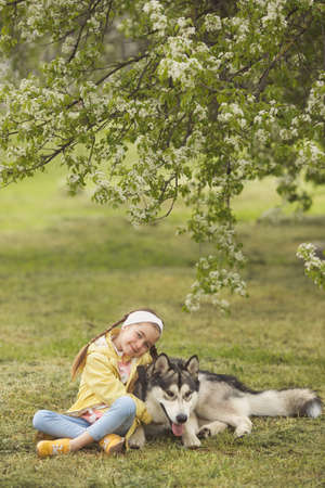 Cute girl sitting on the grass and playing with her funny friend malamute dogの写真素材