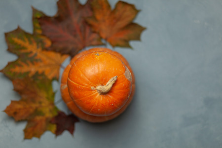 Two orange pumpkins. Colorful maple leaves on blue background. Autumn composition. Postcard. Decorの写真素材