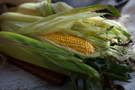 Raw corn cob on a light wooden background. On the burlap. Rustic style.  The concept of a picnic. Harvest. Side viewの写真素材