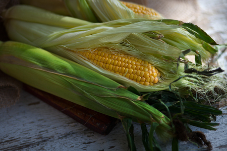 Raw corn cob on a light wooden background. On the burlap. Rustic style.  The concept of a picnic. Harvest. Side viewの写真素材