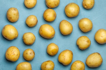 Raw potato tubers won blue background. Harvestの写真素材