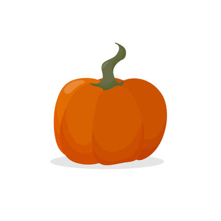 Pumpkin on an isolated white background in classic autumn colors. The concept of autumn harvest, Thanksgivingのイラスト素材