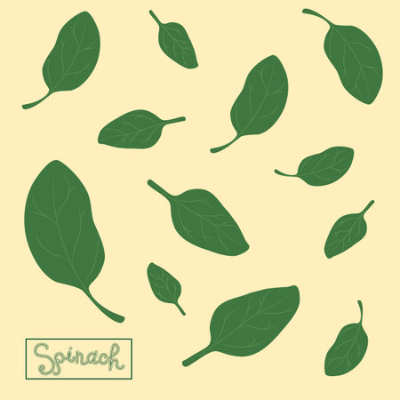Spinach leaves of different shapes and sizes with an inscription. Seamless pattern. The concept of healthy eating.のイラスト素材