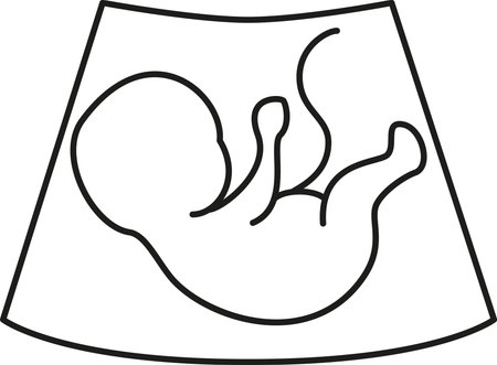 Ultrasonography baby icon. Screening baby. Vector illustration.のイラスト素材