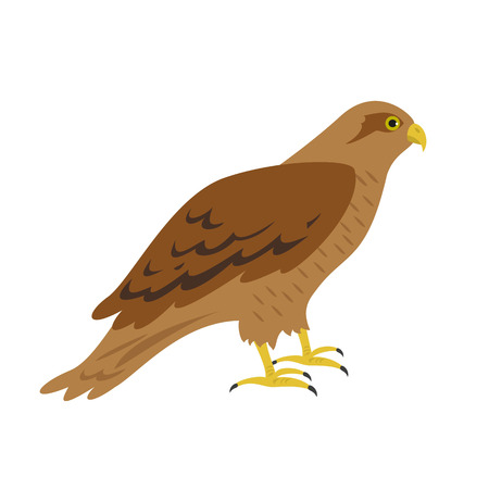Cartoon hawk icon on white background. Vector illustration.のイラスト素材