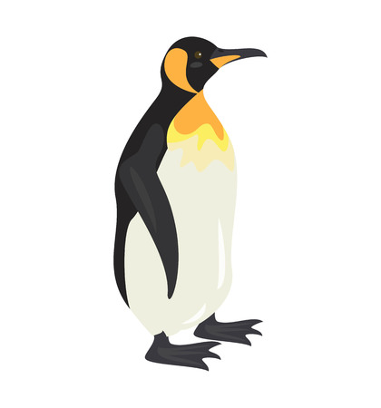 Cartoon penguin icon on white background. Vector illustration.のイラスト素材