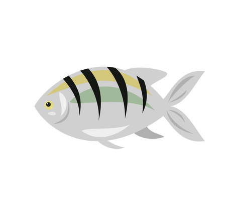 Cartoon fish icon on white background. Vector illustration.のイラスト素材