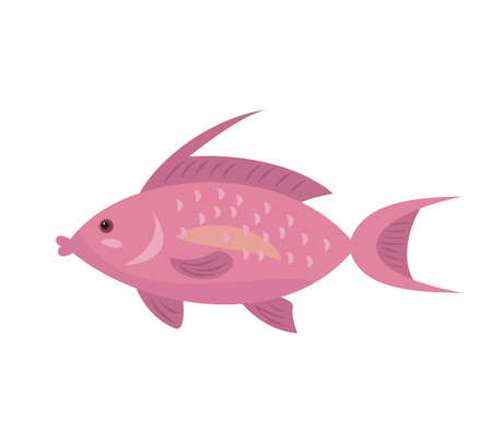 Cartoon fish icon on white background. Vector illustration.のイラスト素材
