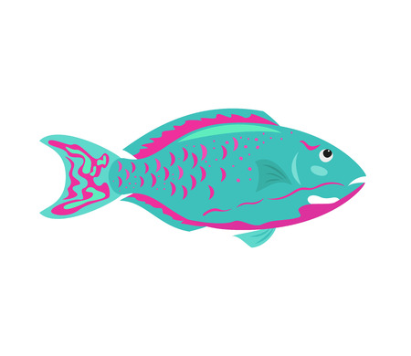 Tropical fish on white background. Vector illustration.のイラスト素材
