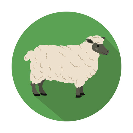 Cute sheep on green background. Vector illustration.のイラスト素材