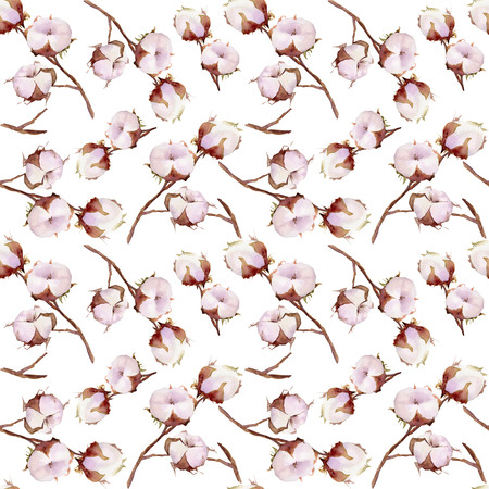 Seamless pattern with a cotton plant on a white background. Hand drawn watercolor illustration.の写真素材