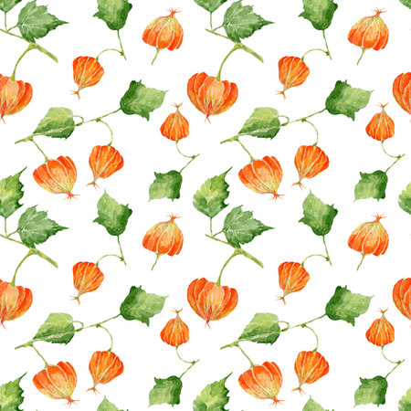 Seamless pattern with colorful physalis. Hand drawn watercolor illustration.の写真素材