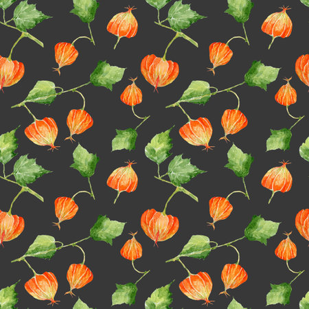 Seamless pattern with colorful physalis. Hand drawn watercolor illustration.の写真素材