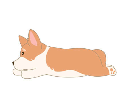 Cartoon welsh corgi on white background. Vector illustration.のイラスト素材