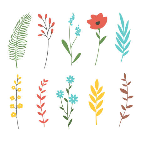 Set of cartoon flowers, plants and branches. vector illustration.のイラスト素材
