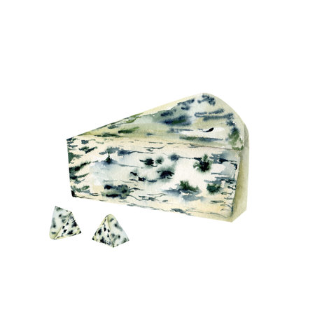 Watercolor fresh organic food illustration. Cheese with blue mold , healthy snack for packing, menu, restaurant design.の写真素材